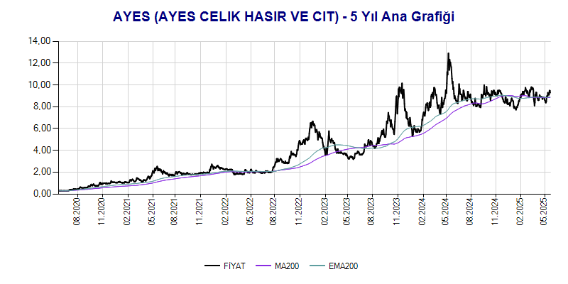 AYES Ana Grafik
