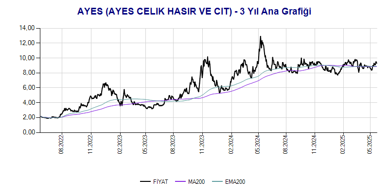 AYES Ana Grafik