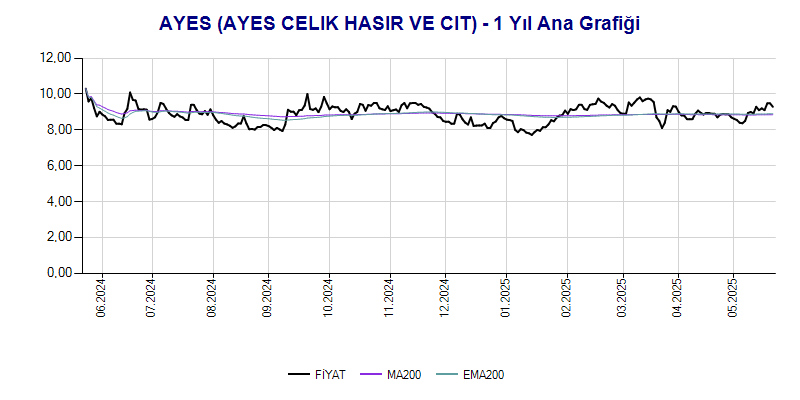 AYES Ana Grafik