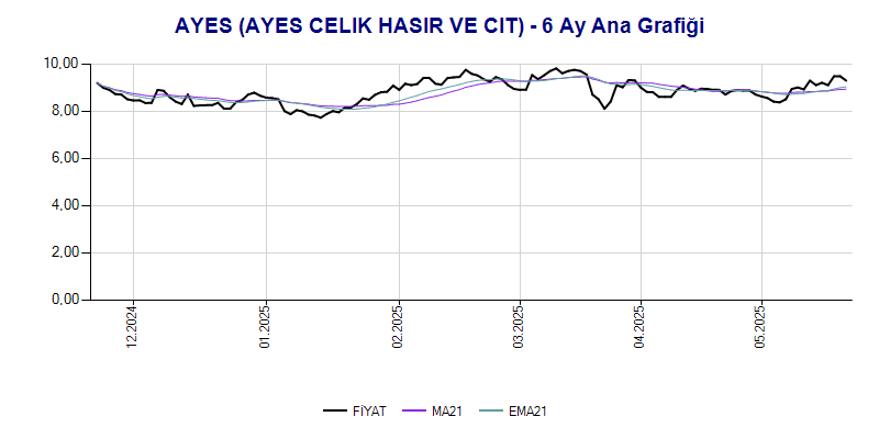 AYES Ana Grafik