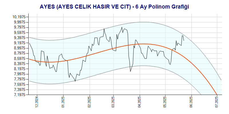 AYES Polinom Grafik