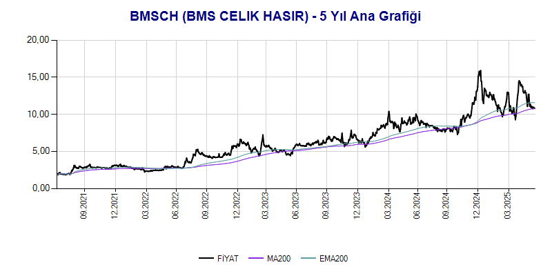 BMSCH Ana Grafik