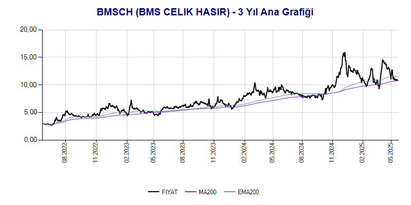 BMSCH Ana Grafik