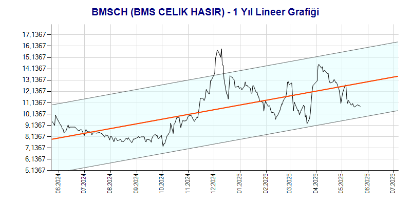 BMSCH Lineer Grafik