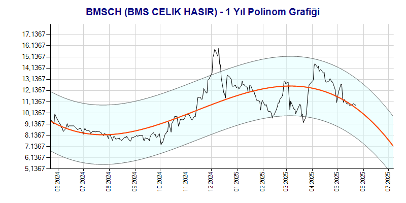 BMSCH Polinom Grafik