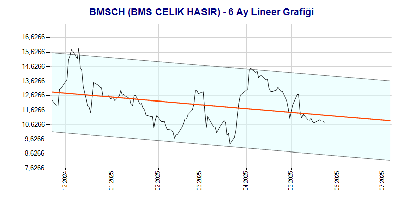 BMSCH Lineer Grafik