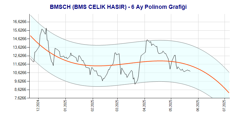 BMSCH Polinom Grafik