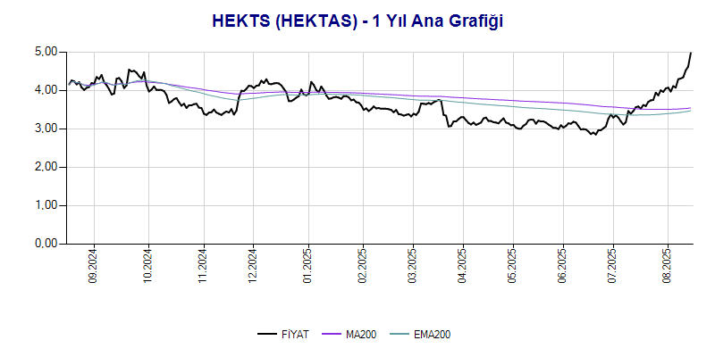 HEKTS Ana Grafik