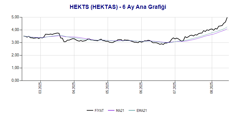 HEKTS Ana Grafik