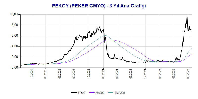 PEKGY Ana Grafik