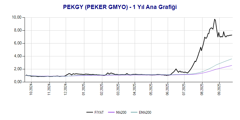 PEKGY Ana Grafik