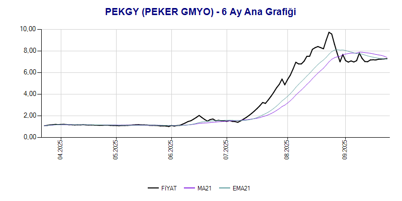 PEKGY Ana Grafik