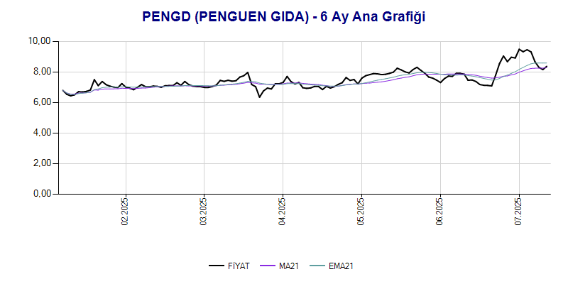 PENGD Ana Grafik