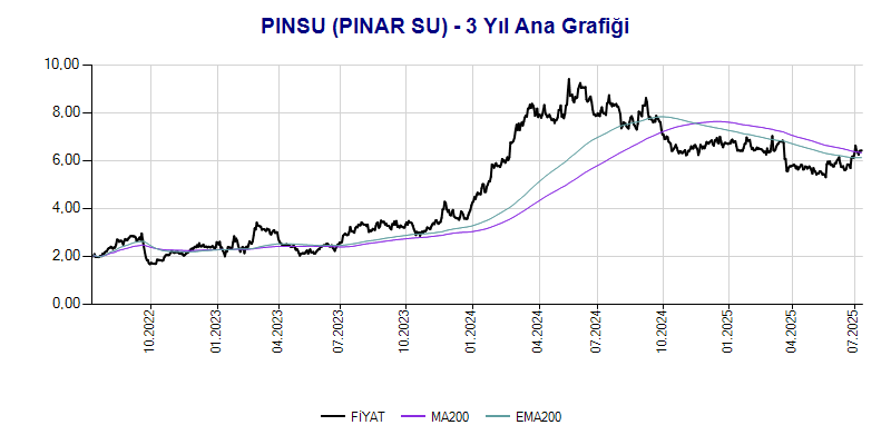 PINSU Ana Grafik
