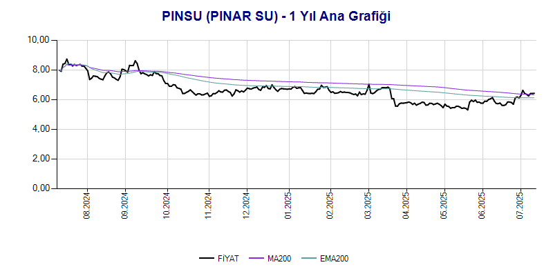 PINSU Ana Grafik