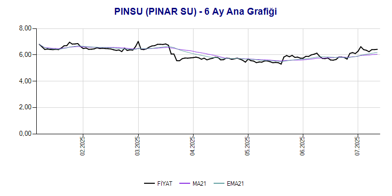 PINSU Ana Grafik