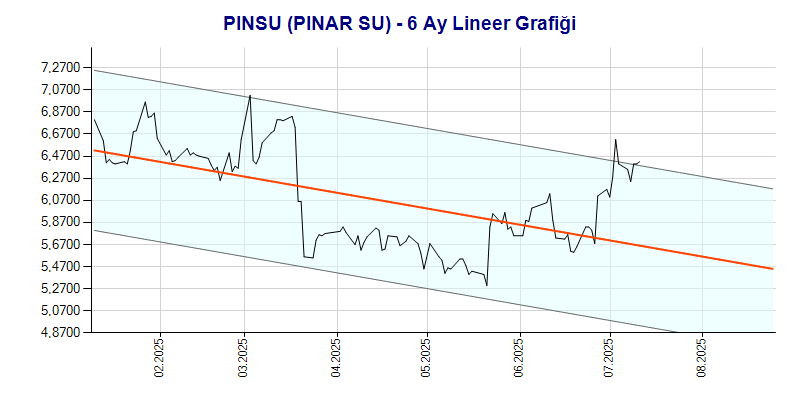 PINSU Lineer Grafik