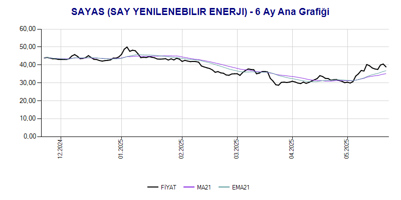 SAYAS Ana Grafik
