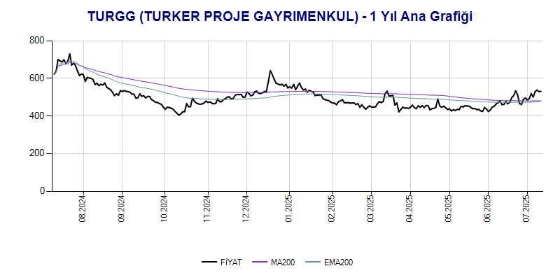 TURGG Ana Grafik