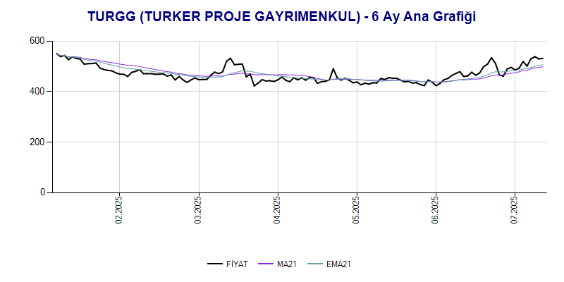 TURGG Ana Grafik